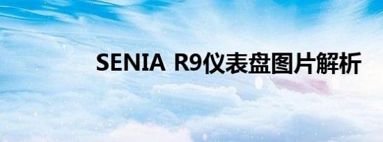 SENIA R9仪表盘图片解析