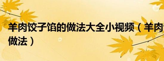 羊肉饺子馅的做法大全小视频（羊肉饺子馅的做法）