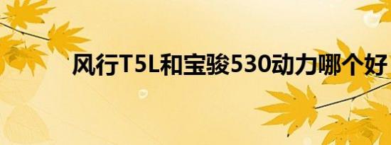 风行T5L和宝骏530动力哪个好 