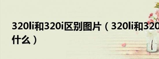 320li和320i区别图片（320li和320i区别是什么）