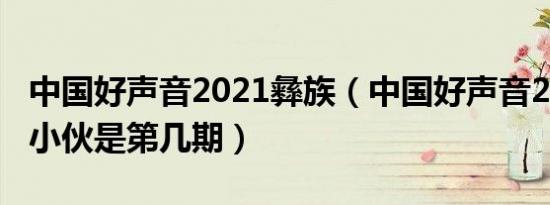 中国好声音2021彝族（中国好声音2021彝族小伙是第几期）