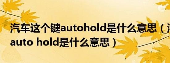 汽车这个键autohold是什么意思（汽车按键auto hold是什么意思）