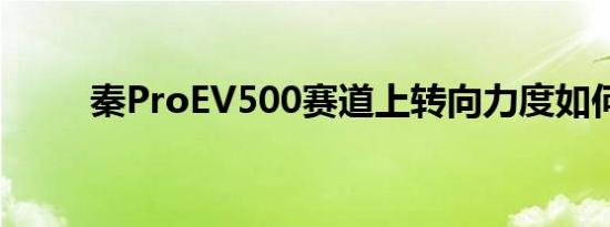 秦ProEV500赛道上转向力度如何 