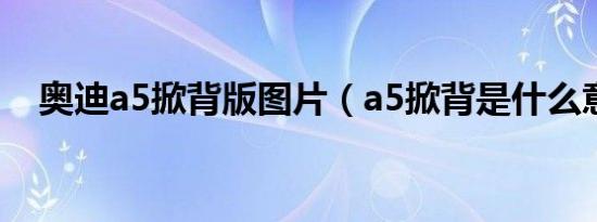 奥迪a5掀背版图片（a5掀背是什么意思）