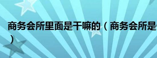 商务会所里面是干嘛的（商务会所是做什么的）