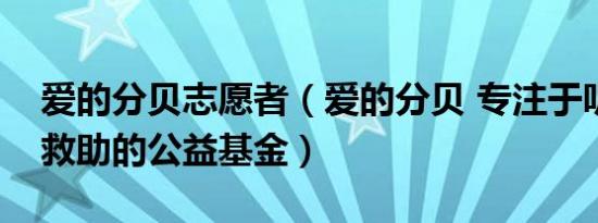 爱的分贝志愿者（爱的分贝 专注于听障人群救助的公益基金）