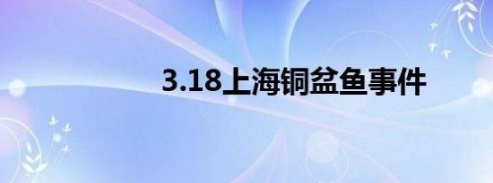 3.18上海铜盆鱼事件