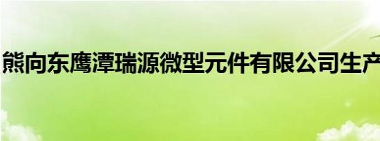 熊向东鹰潭瑞源微型元件有限公司生产部经理