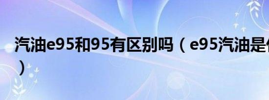 汽油e95和95有区别吗（e95汽油是什么意思）