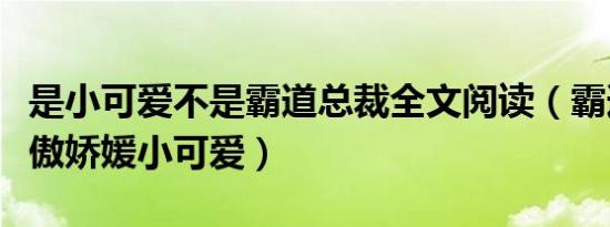 是小可爱不是霸道总裁全文阅读（霸道总裁之傲娇媛小可爱）