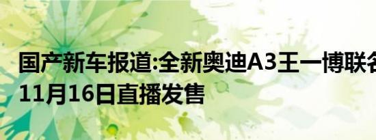 国产新车报道:全新奥迪A3王一博联名限量版 11月16日直播发售