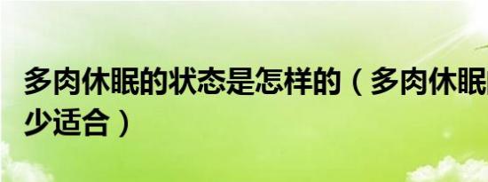 多肉休眠的状态是怎样的（多肉休眠的温度多少适合）