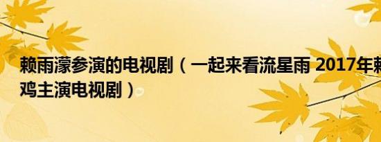 赖雨濛参演的电视剧（一起来看流星雨 2017年赖雨濛、养鸡主演电视剧）