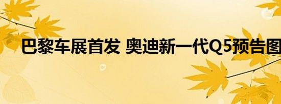 巴黎车展首发 奥迪新一代Q5预告图发布