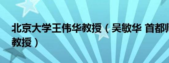 北京大学王伟华教授（吴敏华 首都师范大学教授）