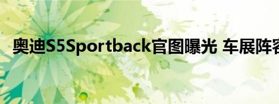 奥迪S5Sportback官图曝光 车展阵容敲定