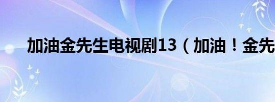 加油金先生电视剧13（加油！金先生）