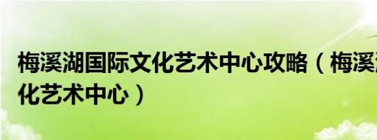 梅溪湖国际文化艺术中心攻略（梅溪湖国际文化艺术中心）