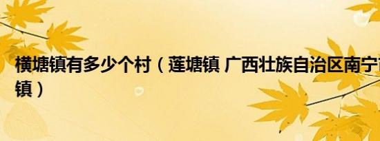 横塘镇有多少个村（莲塘镇 广西壮族自治区南宁市横州市辖镇）