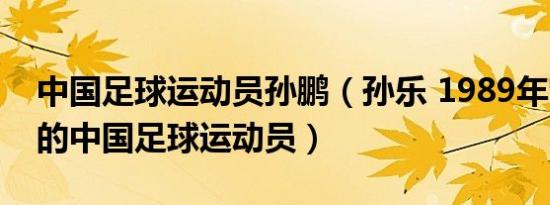 中国足球运动员孙鹏（孙乐 1989年9月出生的中国足球运动员）