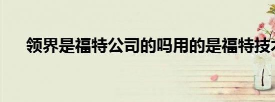 领界是福特公司的吗用的是福特技术吗