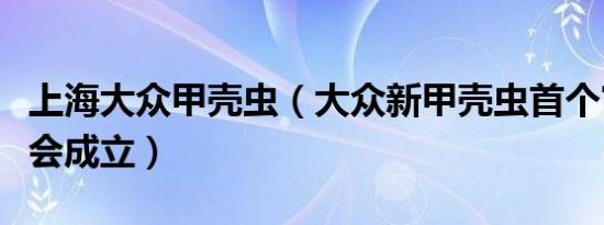 上海大众甲壳虫（大众新甲壳虫首个官方车友会成立）