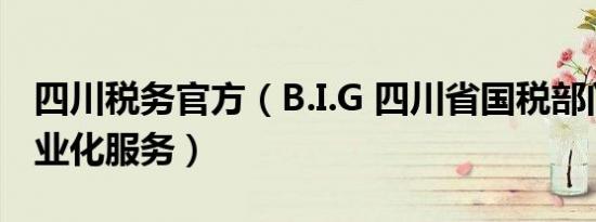 四川税务官方（B.I.G 四川省国税部门税收专业化服务）