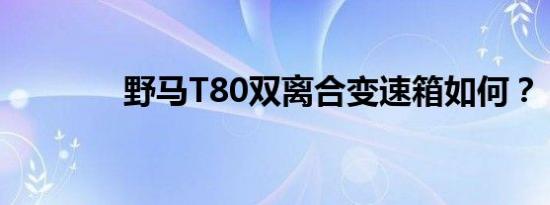 野马T80双离合变速箱如何？