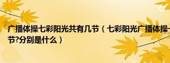 广播体操七彩阳光共有几节（七彩阳光广播体操一共有多少节?分别是什么）