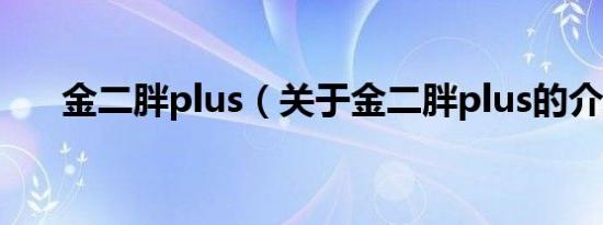 金二胖plus（关于金二胖plus的介绍）