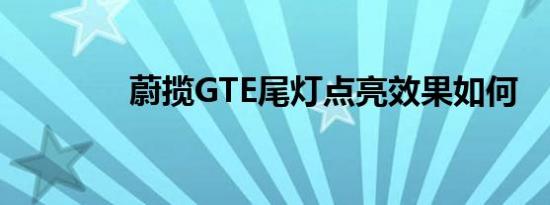 蔚揽GTE尾灯点亮效果如何 