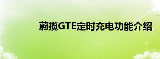 蔚揽GTE定时充电功能介绍