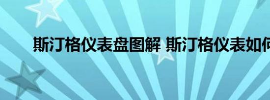 斯汀格仪表盘图解 斯汀格仪表如何？