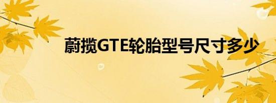 蔚揽GTE轮胎型号尺寸多少 