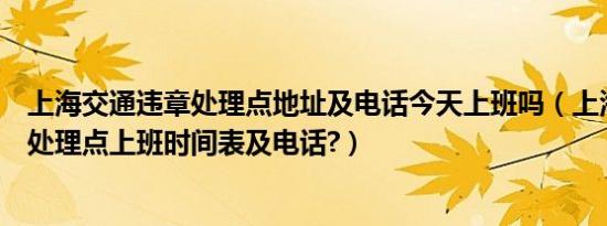 上海交通违章处理点地址及电话今天上班吗（上海交通违章处理点上班时间表及电话?）