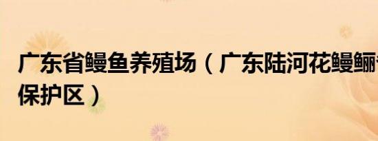 广东省鳗鱼养殖场（广东陆河花鳗鲡省级自然保护区）