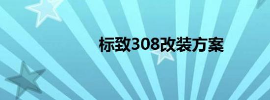 标致308改装方案