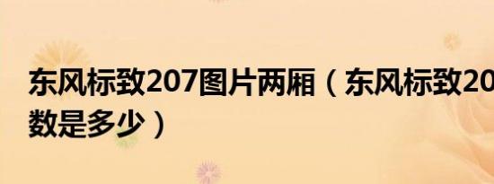 东风标致207图片两厢（东风标致207两厢参数是多少）