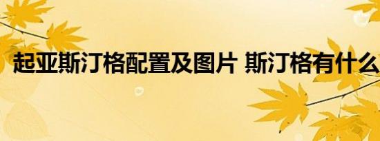 起亚斯汀格配置及图片 斯汀格有什么配置？