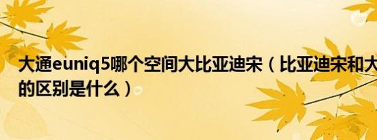 大通euniq5哪个空间大比亚迪宋（比亚迪宋和大通euniq5的区别是什么）