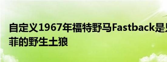 自定义1967年福特野马Fastback是只花费不菲的野生土狼