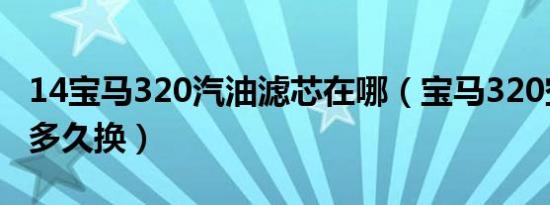 14宝马320汽油滤芯在哪（宝马320空气滤芯多久换）