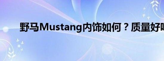 野马Mustang内饰如何？质量好吗？