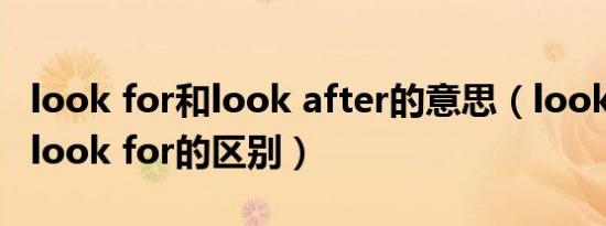 look for和look after的意思（look after和look for的区别）