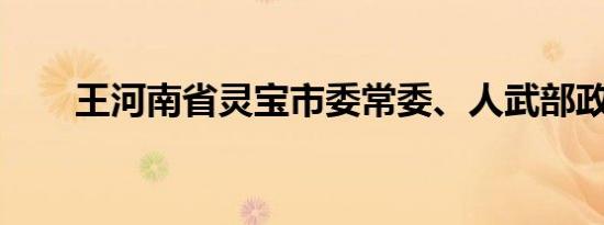 王河南省灵宝市委常委、人武部政委