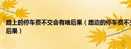 路上的停车费不交会有啥后果（路边的停车费不交会有什么后果）