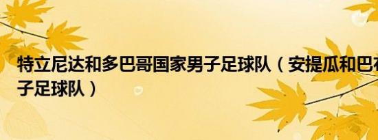 特立尼达和多巴哥国家男子足球队（安提瓜和巴布达国家男子足球队）