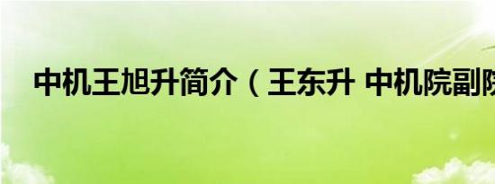 中机王旭升简介（王东升 中机院副院长）