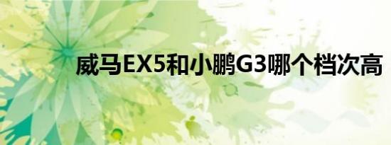 威马EX5和小鹏G3哪个档次高 