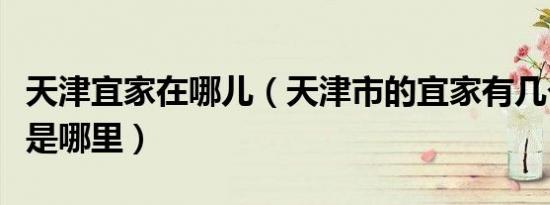 天津宜家在哪儿（天津市的宜家有几个地址都是哪里）